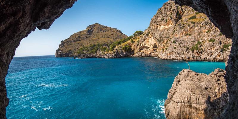 低龄留学生海外适应指南：从移民规划到国际教育的成功路径