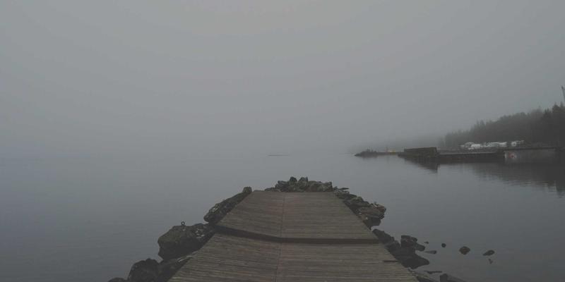 宾哈里斯新政下,海外留学与移民规划的联动策略