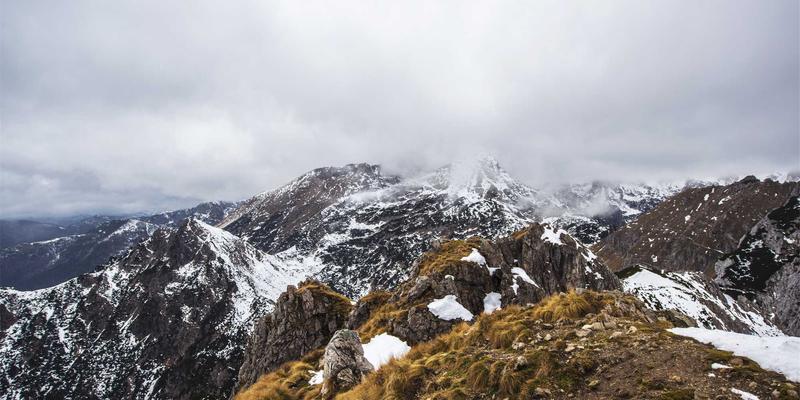 宾哈里斯视角下的海外留学：国际教育如何塑造未来全球公民
