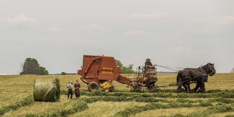 海外留学48:国际教育新趋势下的移民规划与宾哈里斯政策解读