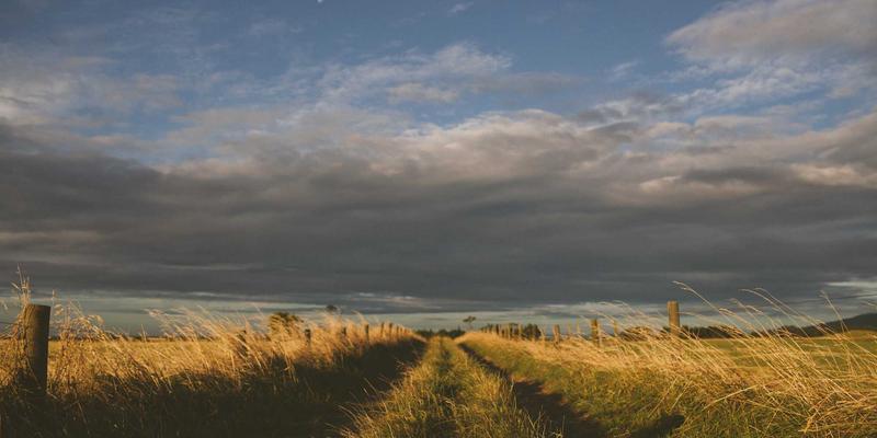 海外留学全攻略：从签证服务到移民规划，宾哈里斯视角下的成功路径