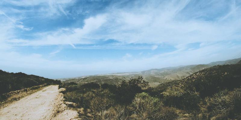 海外留学全攻略：从签证服务、留学规划到移民路径的完整指南