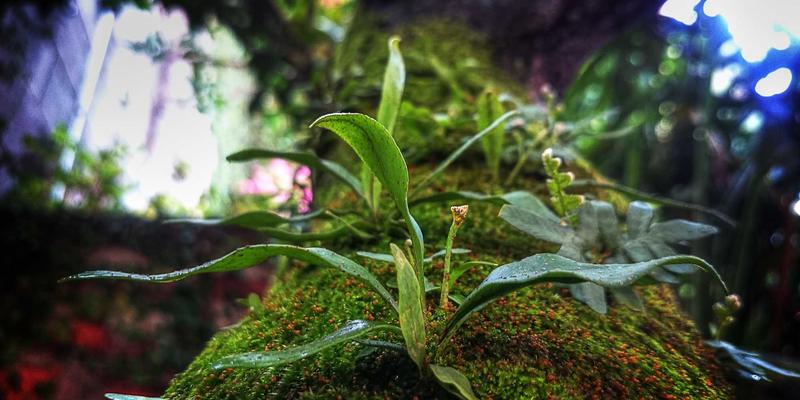 海外留学全攻略：国际教育规划、留学服务选择与签证办理全解析