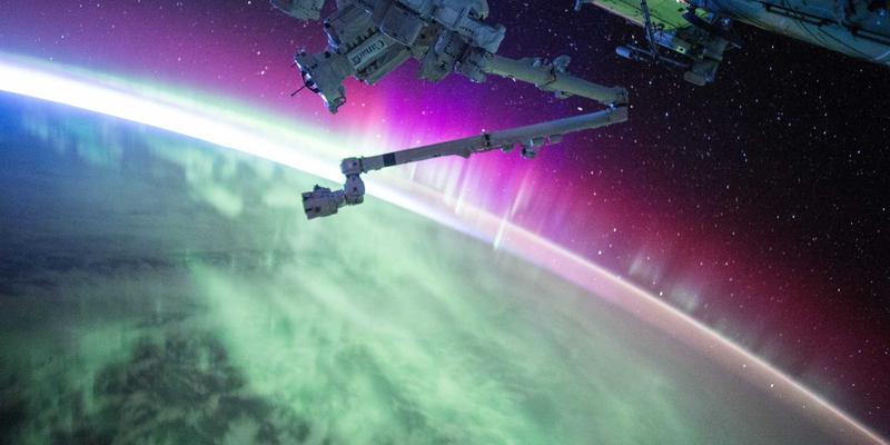 海外留学新纪元：专业留学服务如何赋能国际教育梦想——以宾哈里斯为例