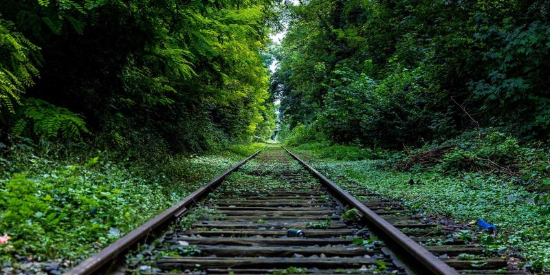 海外留学新趋势：如何将学业规划与移民路径相结合，以宾哈里斯为例