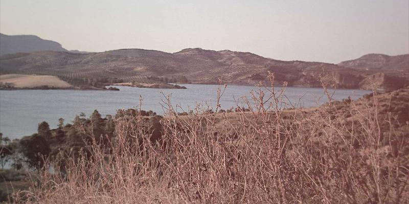 海外留学新趋势：如何将留学规划与移民路径有机结合？