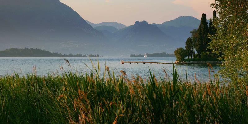 海外留学新趋势：如何将留学规划与移民路径有机结合