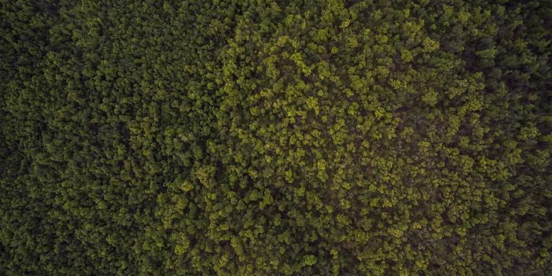 海外留学新趋势：如何通过移民规划与专业签证服务实现留学价值最大化