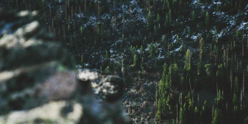 海外留学期间如何积累实习经验？移民咨询与签证服务是关键