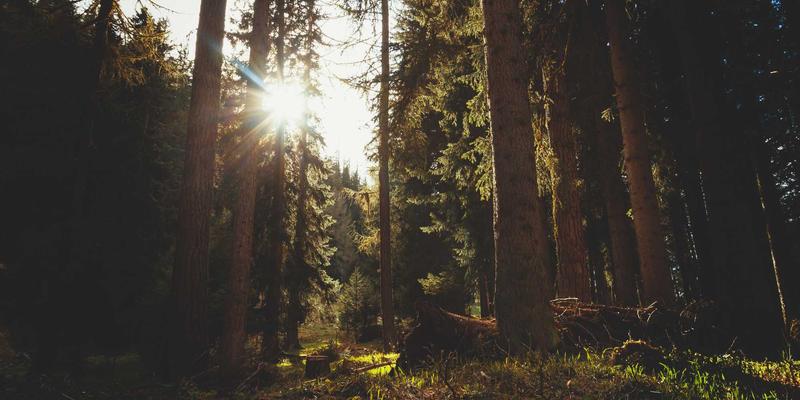 海外留学期间如何积累实习经验？签证服务与国际教育助力职业转化
