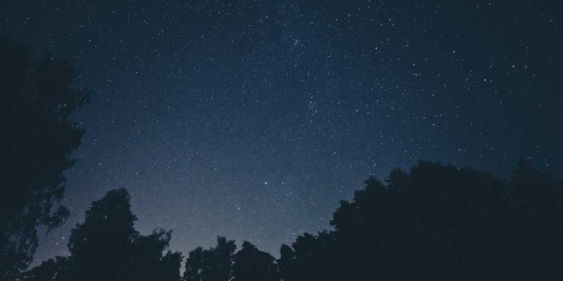 海外留学期间学术写作与研究方法提升秘籍：国际教育成功的关键路径