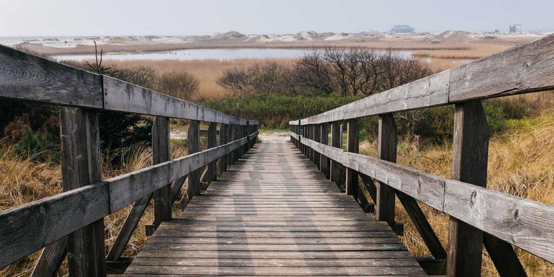 海外留学期间实习与兼职法律须知：工作时间、纳税与权益保护全解析