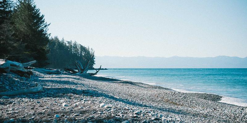 海外留学申请时间规划与材料准备全攻略：移民咨询与签证服务的关键一步