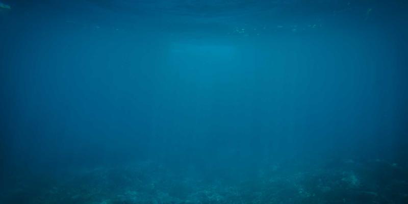 海外留学签证服务全解析：从宾哈里斯案例看专业移民咨询的重要性